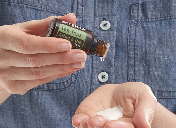 blue出品　doTERRA Tea Tree 5本 Tea Tree Oil NHP | doTERRA Essential Oils